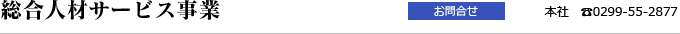 総合人材サービス事業